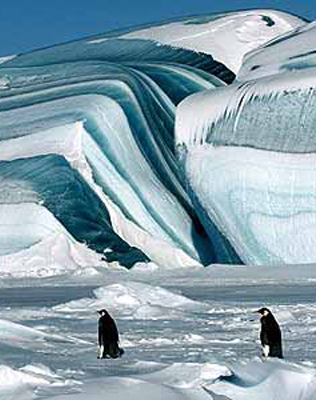 L'Antartide è uno dei luoghi più freddi e inospitali della terra, vera  patria della neve e del gelo, con temperature che possono essere inferiori  a 50 gradi sotto lo zero e condizioni