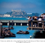 Sea lions and Alcatraz