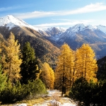 Atmosfera autunnale nel Parco Nazionale Svizzero a Zernez_ Sullo sfondo vista sulle cime del Piz Laschadurella coperte di neve