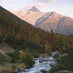 La Valle Susauna (S-chanf) con larici autunnali e il fiume Vallember_ Sullo sfondo il Piz d'Esan (3127 m) nella luce del sole