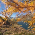 Sullo sfondo il Lago di Sils con il Piz Lunghin (2780 m)_ Copyright by ENGADIN St. Moritz By-line swiss-image.ch_Robert Boesc