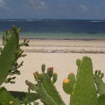 Kenya spiaggia malindi 2