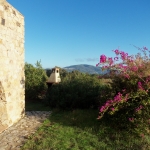 0007esterno bouganvillea1