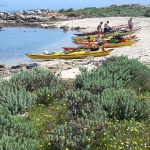 Costa orientale dell'Asinara