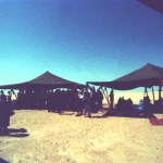 IMG 05