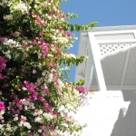 HammametMedinaFiori