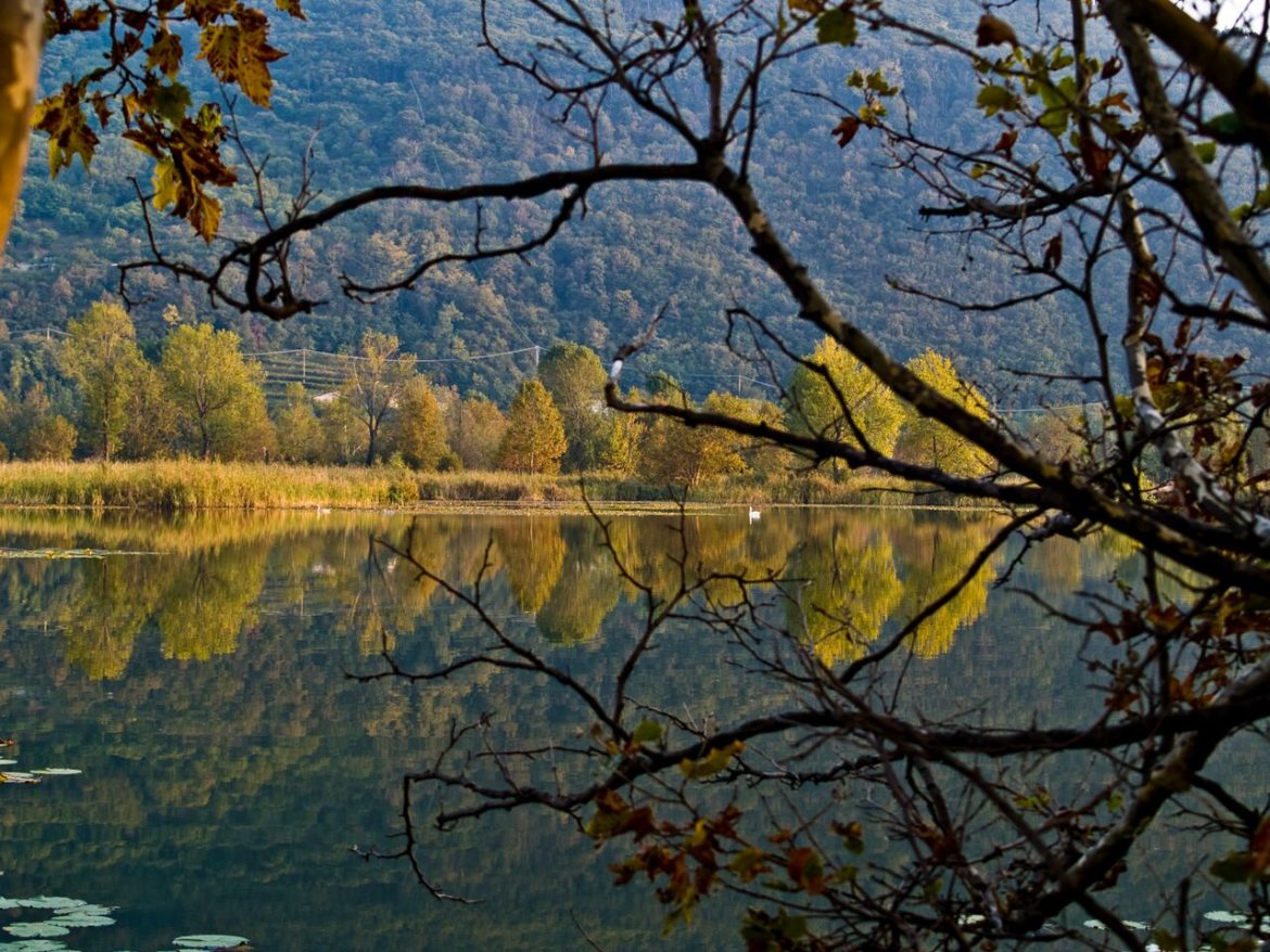 In Franciacorta per i regali