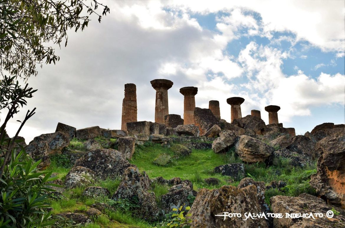 Mandorlo in Fiore e Mandorlo a Tavola “Mandorlara” ad Agrigento. Dall’1 al 10 marzo natura, arte e il meglio dell’enogastronomia