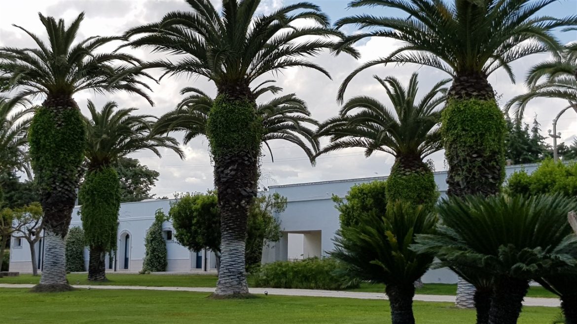 Borgo Valle Rita in una zona verdissima tra Puglia e Basilicata. Una struttura dove relax e gastronomia sono vincenti. A pochi km da Matera capitale europea della cultura