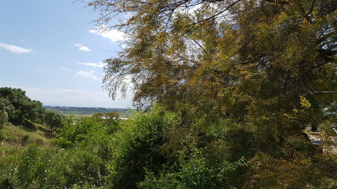 Borgo Valle Rita in una zona verdissima tra Puglia e Basilicata. Una struttura dove relax e gastronomia sono vincenti. A pochi km da Matera capitale europea della cultura