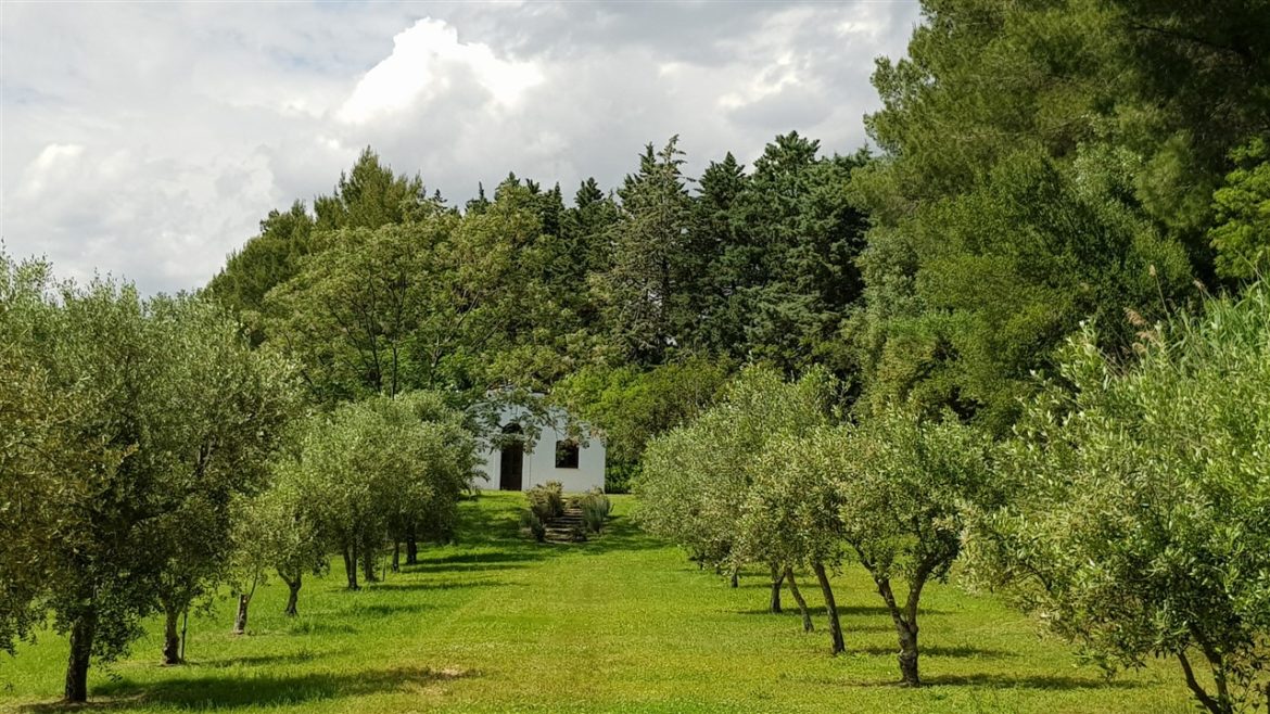 Borgo Valle Rita in una zona verdissima tra Puglia e Basilicata. Una struttura dove relax e gastronomia sono vincenti. A pochi km da Matera capitale europea della cultura