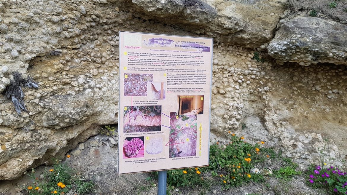 In Monferrato tra paesaggi e infernot UNESCO; fino a settembre anche per celebrare Angelo Morbelli e la sua arte dedicata al territorio