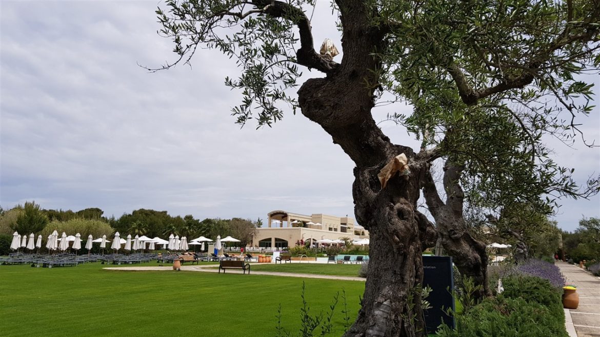 Benessere e relax al Vivosa Apulia Resort, la SPA ben attrezzata ed i prodotti realizzati dalla HUR con materie prime del Salento, attendono gli ospiti