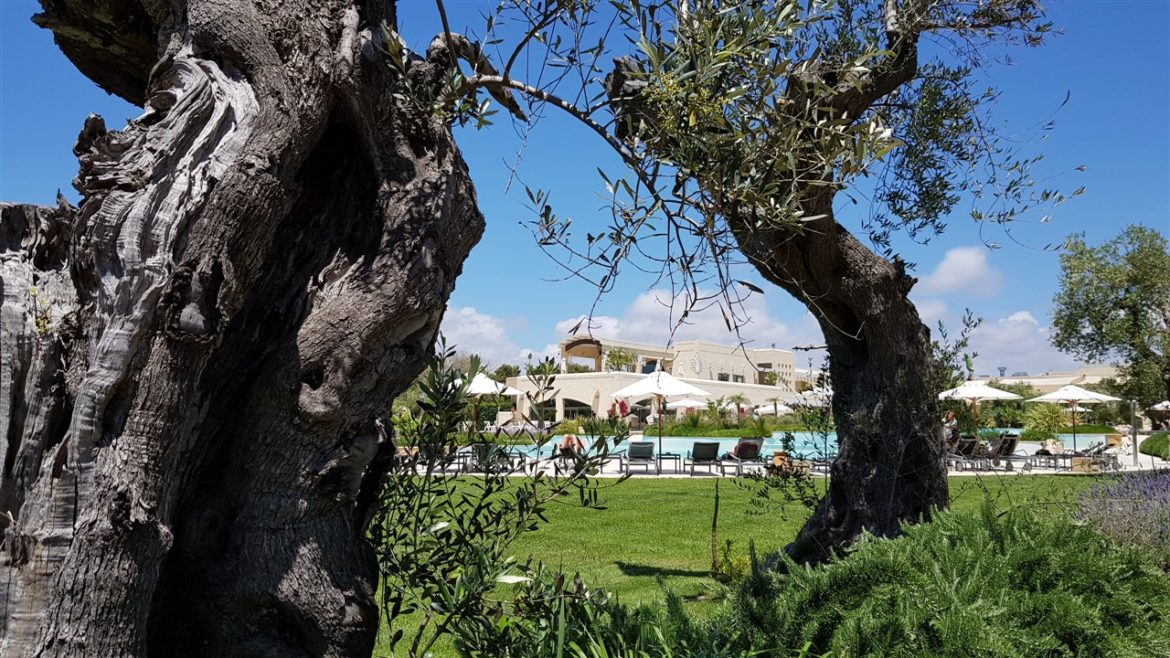 Benessere e relax al Vivosa Apulia Resort, la SPA ben attrezzata ed i prodotti realizzati dalla HUR con materie prime del Salento, attendono gli ospiti