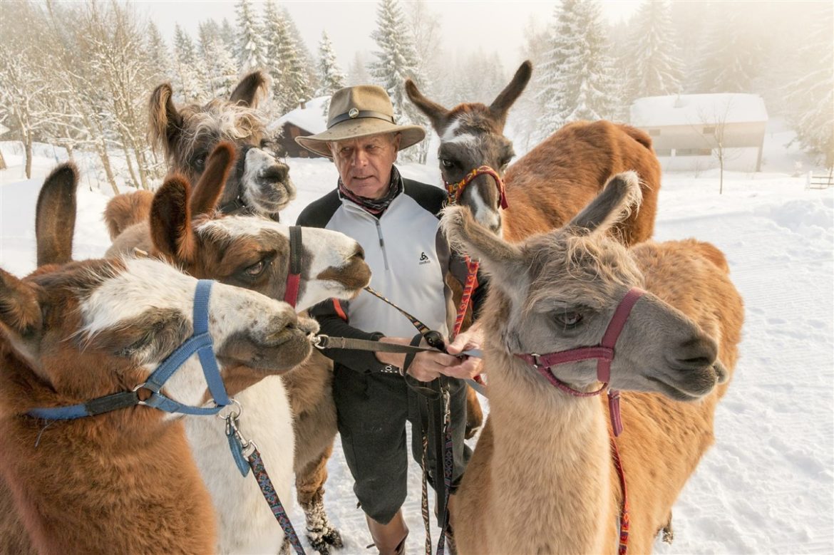 Inverno made in Austria 2020: neve per una stagione indimenticabile. Scenari spettacolari in Tirolo, Carinzia e Vorarlberg con il supporto di Austria per l’Italia proposte create per gli italiani