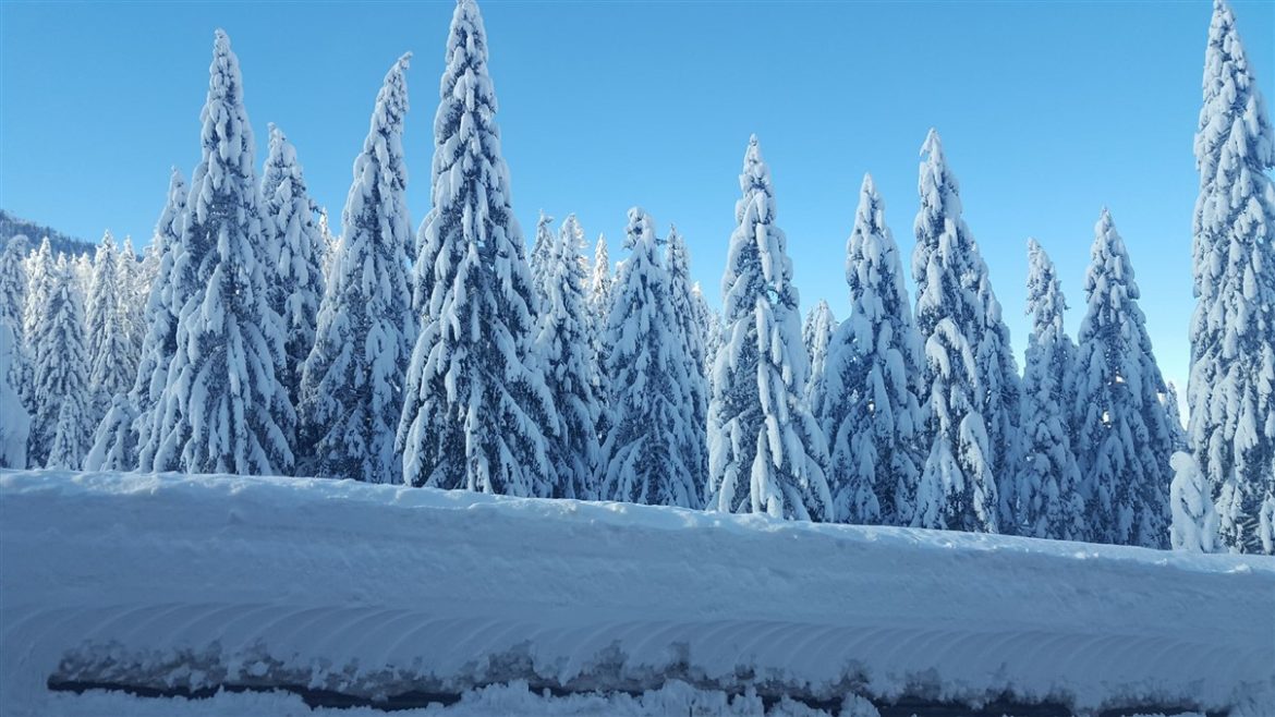 Inverno made in Austria 2020: neve per una stagione indimenticabile. Scenari spettacolari in Tirolo, Carinzia e Vorarlberg con il supporto di Austria per l’Italia proposte create per gli italiani