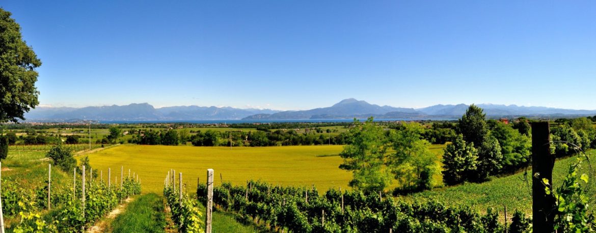 Autunno fra i vigneti, alla scoperta della provincia di Brescia. Settembre e ottobre sono i periodi ideali per l’enoturismo