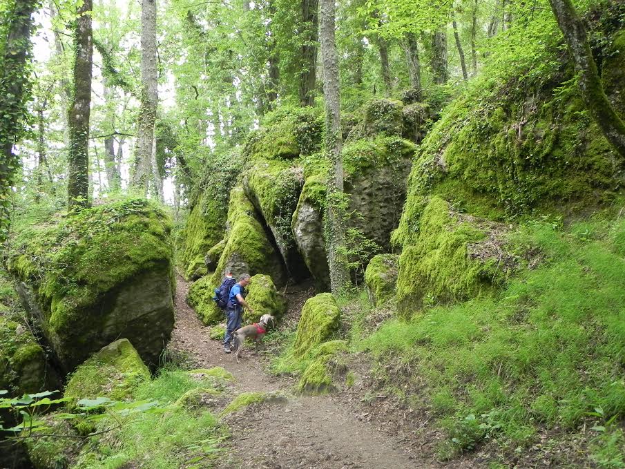 I Love Cammini Emilia-Romagna 2022: dalla primavera all’autunno esperienze guidate a passo lento tra boschi, santuari e storia